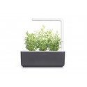 Стартовий набір Smart Garden 3, сірий, Click&Grow