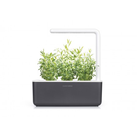 Стартовий набір Smart Garden 3, сірий, Click&Grow