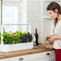 Стартовый набор Smart Garden SG9, білий, Click&Grow