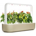 Стартовый набор Smart Garden SG9, бежевий, Click&Grow