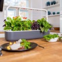 Стартовый набор Smart Garden SG9, сірий, Click&Grow