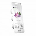 Змінний картридж Click & Grow "Петунія"