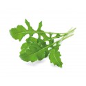 Змінний картридж Click & Grow "Рукола"