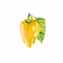 Змінний картридж Click & Grow "Жовтий солодкий перець"