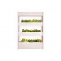 Вертикальний сад, великий, Salad & Herb Kit, Click&Grow