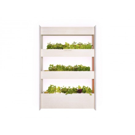 Вертикальний сад, великий, Salad & Herb Kit, Click&Grow