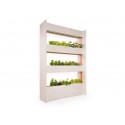 Вертикальний сад, великий, Salad & Herb Kit, Click&Grow