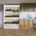 Вертикальний сад, великий, Salad & Herb Kit, Click&Grow