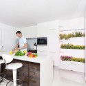 Вертикальний сад, великий, Salad & Herb Kit, Click&Grow