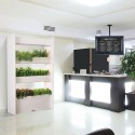 Вертикальний сад, великий, Salad & Herb Kit, Click&Grow