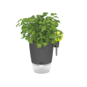 Вазон Elho brussels herbs all-in-one-1, білий