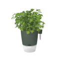 Вазон Elho brussels herbs all-in-one-1, зелений