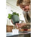 Вазон Elho brussels herbs all-in-one-1, зелений