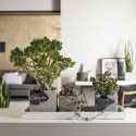 Кашпо Latina Concrete 28x14x14 см, світло сірий