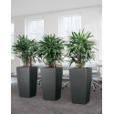 Розумний горщик Lechuza CUBICO Color Premium 22, антрацитовий металік