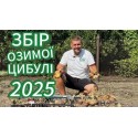 Озима цибуля-сівок Радар (Radar) 0,5 кг | BROER
