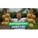 Озима цибуля-сівок Ред Барон (Red Baron) 0,2 кг | BROER
