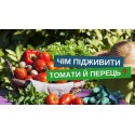 Насіння високорослого томату Корнабель F1, 5 шт | Hazera