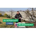 Бордоська суміш, 250 г: Комплект для приготування фунгіциду