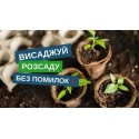 Насіння гіркого перцю Цицак (Баранячий ріг), 10 г