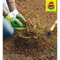 Торфосуміш універсальна, 10 л, Compo Sana