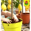 Торфосуміш для цитрусових, 10 л, Compo Sana