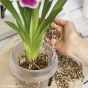 Субстрат для орхідей LECHUZA ORCHIDPON, 6 л