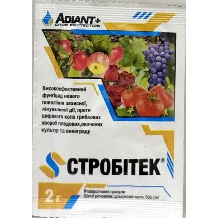 Фунгіцид СтробіТЕК, 2 г
