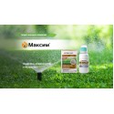 Фунгіцид-протруйник Максим, 100 мл | Syngenta